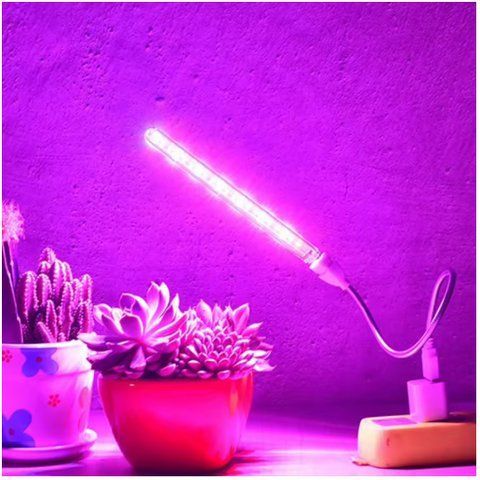 LED лампа для рослин VnnZzo USB (повний спектр для гідропоніки, кімнатних квітів та розсади) 2737696806 фото
